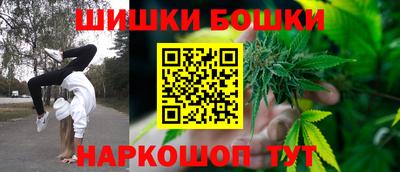 СК Вязьма