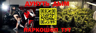 СК Вязьма