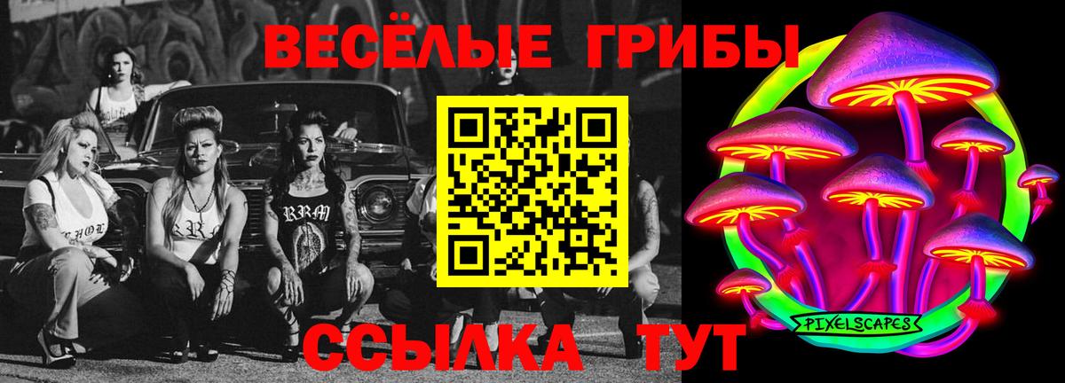 Белореченск  Псилоцибиновые грибы Magic Shrooms  Вход с VPN 